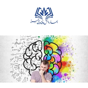 تاثیر هوش هیجانی در موفقیت شغلی و شخصی
